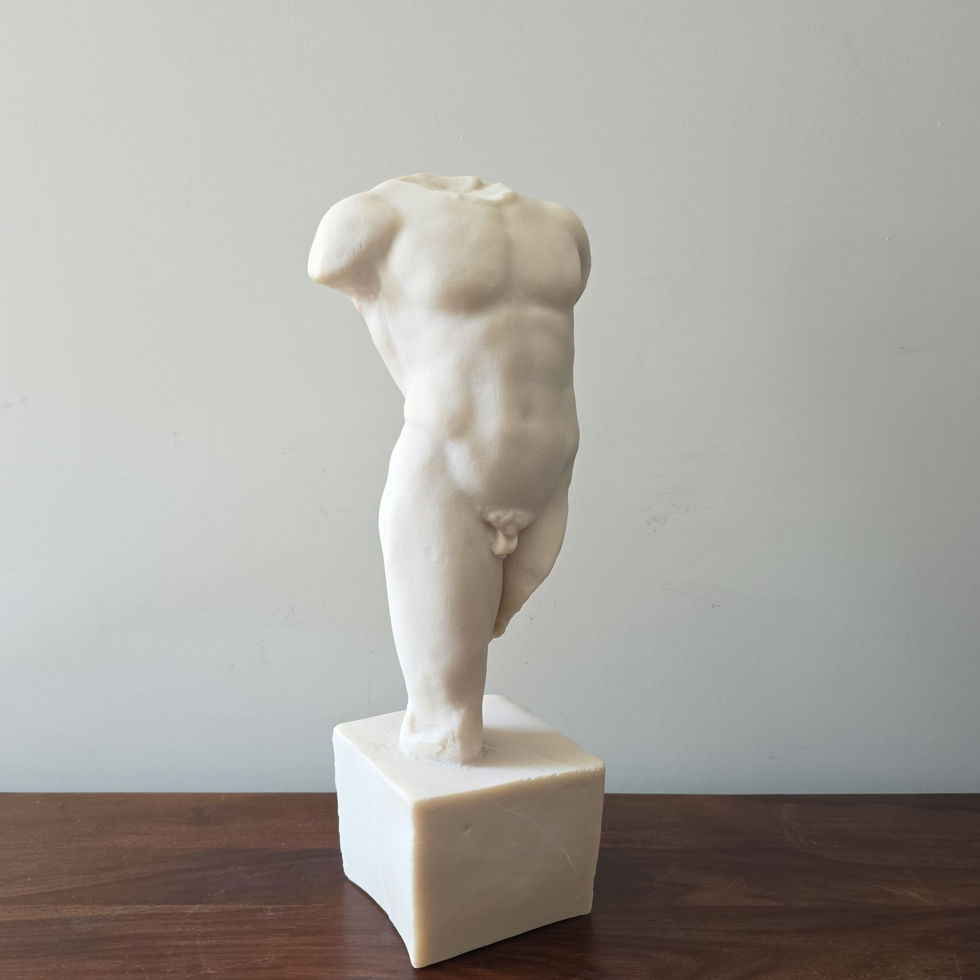 male torso