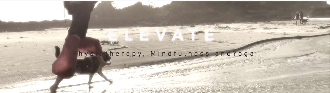 Elevate Tofino Physiotherapy in Tofino