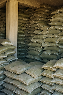 20250718_1730_Oregano Warehouse Interior_remix_01k0fxx10ve0qajsjtyscjj33v.png