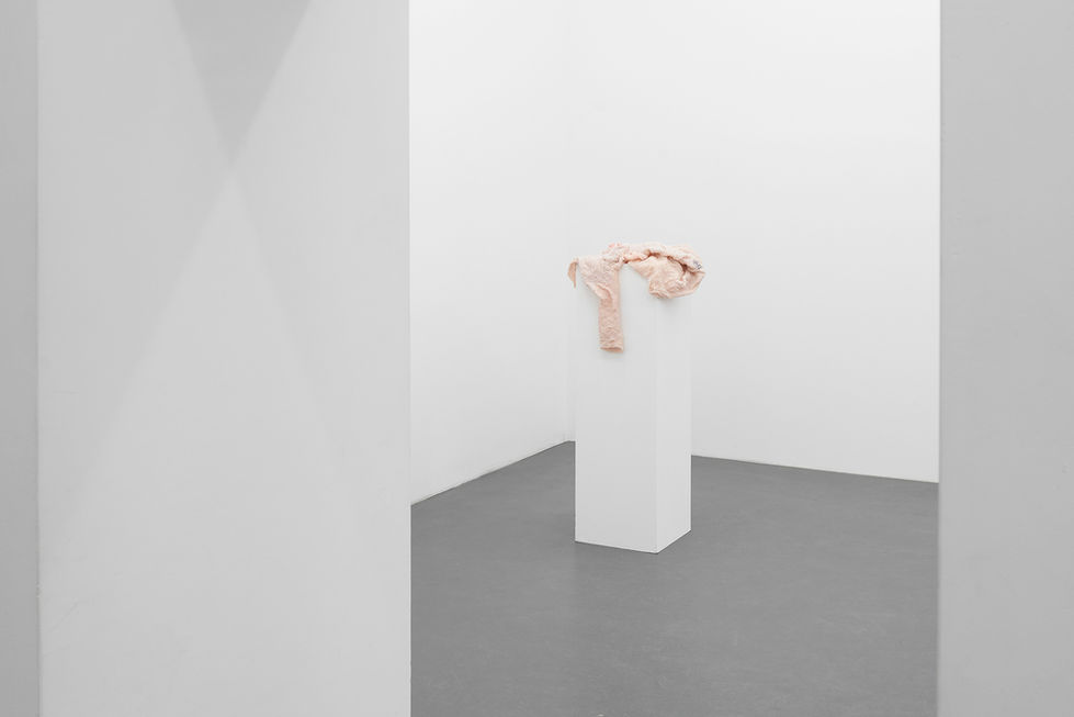 2024-03-02 - Ubi sunt - p2_s4b_01 - [fot Adam Gut] 2000px