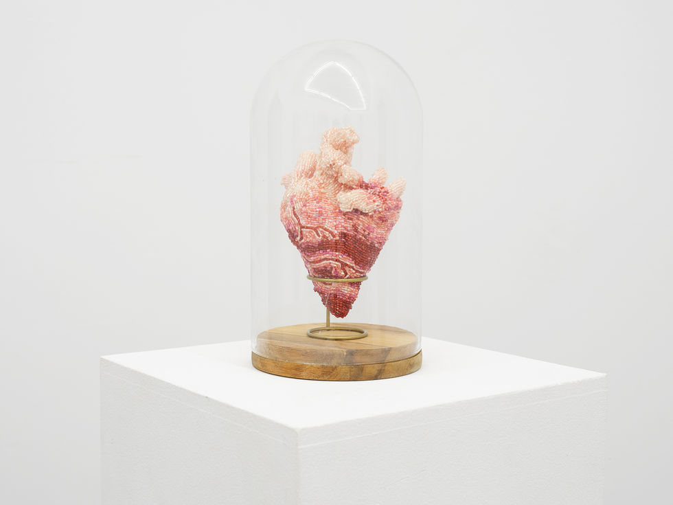 2026-01-16 - Let Your Heart Decide - p1 - s3_03_c - [fot Adam Gut] 2000px