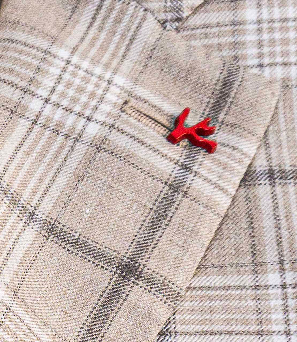 Miniatura: ISAIA