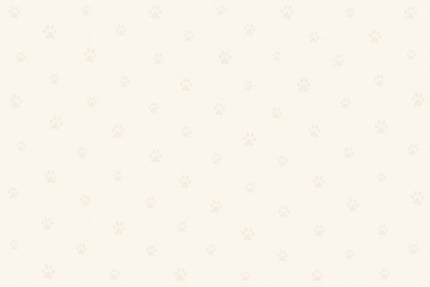 ChatGPT Image May 5, 2026, 04_52_08 PM.png
