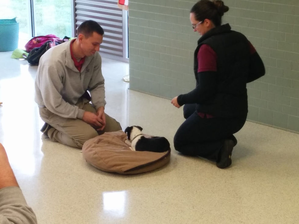 Flux helping other dog trainers learn.