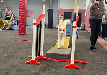 Training7 - reduced size..jpg