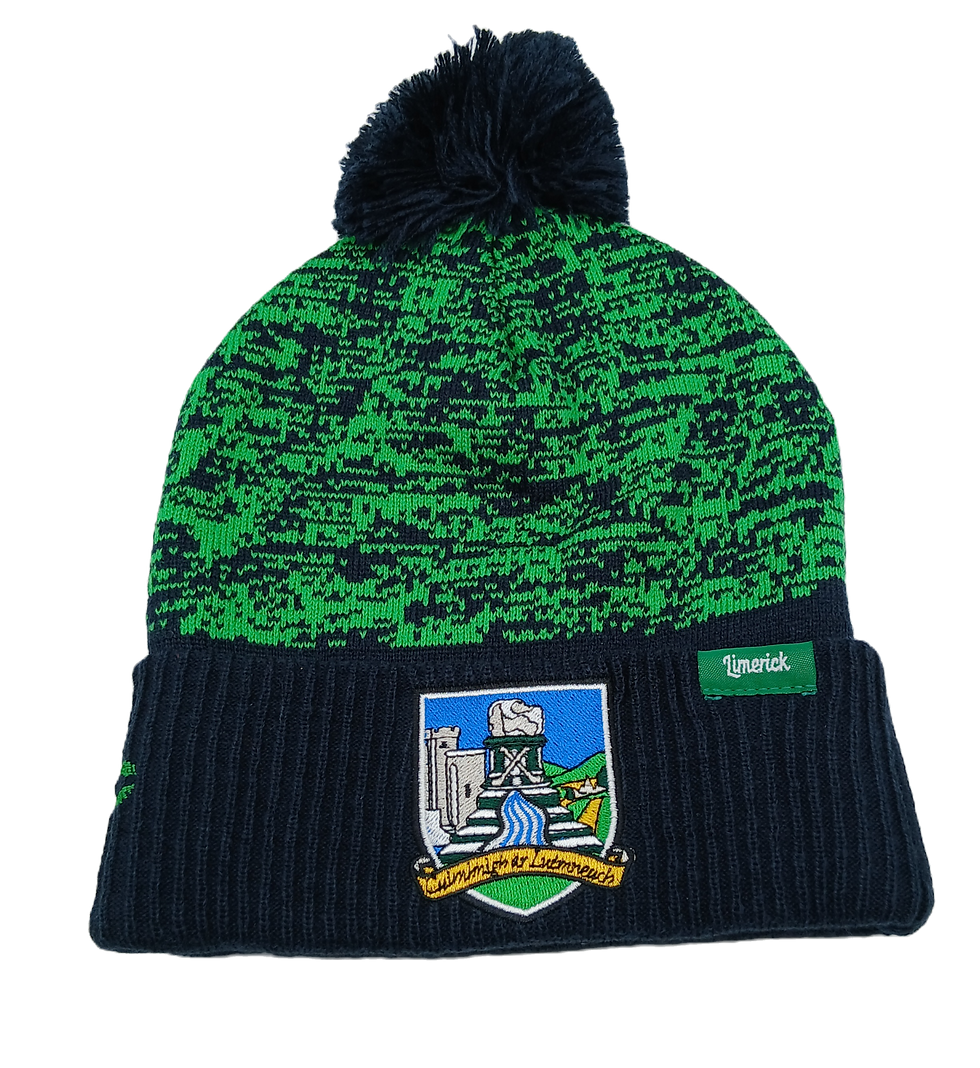 Limerick Flect_edited