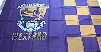 Wexford Large Flag