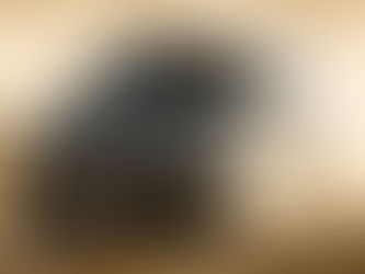 DEFENDER OCTA, para quienes se desempeñan sin compromisos