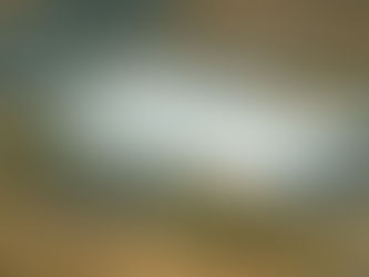 Honda de México celebra 40 años en el país; exporta a diversos mercados