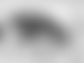 Continental incrementa uso de materiales renovables