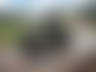 El todo terreno, una opción para explorar nuevos destinos