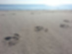 beach2.jpg