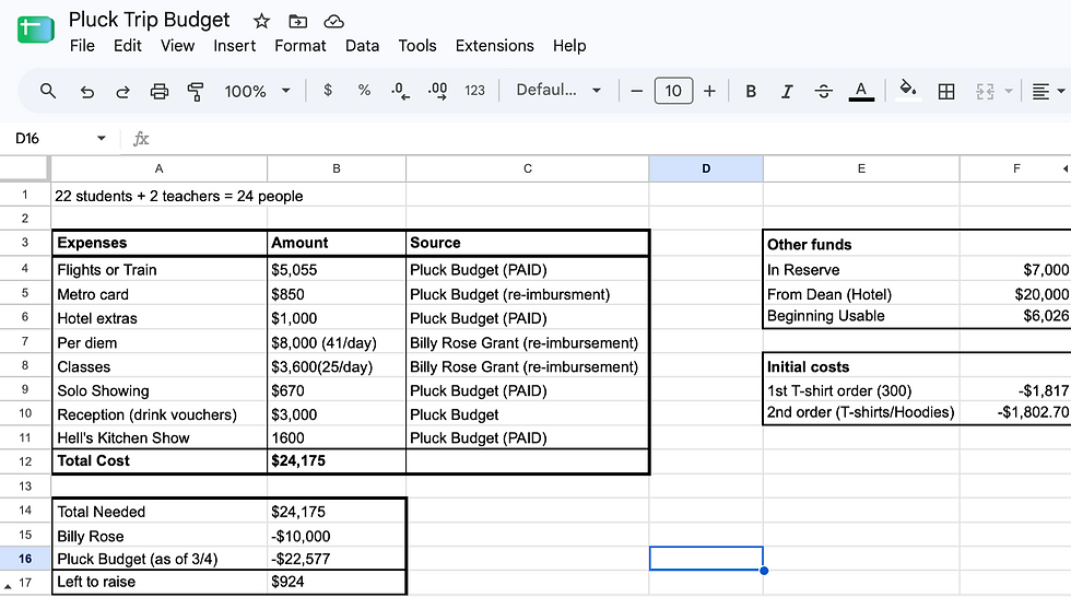 Pluck Trip Budget.png