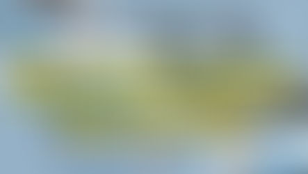 Why Your Business Needs a Website: The Foundation of Digital Marketing!