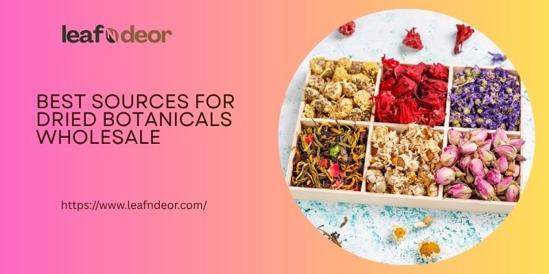 Best Sources for Dried Botanicals Wholesale
