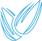 maya-seeds.png