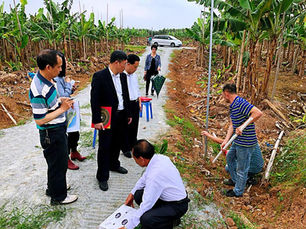 Apec News Today - 全球房地產市場面臨前所未有挑戰 開發商轉向風水策略突圍