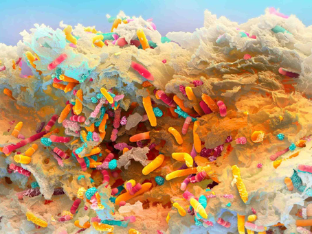 Fiber's Role in Health