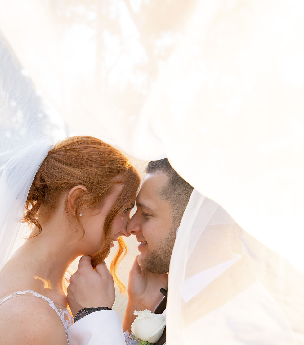 Married couple under their veil