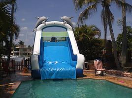 PRP-WJ04 dolphin_slide_inside_pool4.jpg