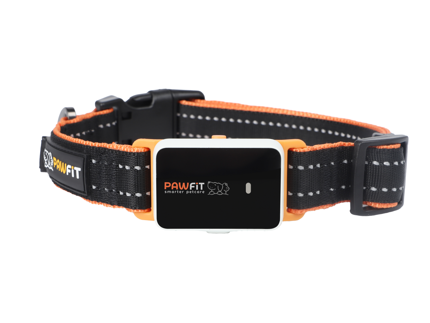Pawfit 3 GPS dog tracker attached to collar