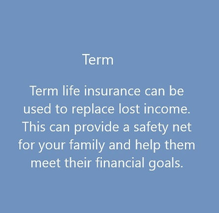 Term Insurance Block.jpg