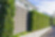 Shrubs,Hedgesandtopiaryprivacyfence.jpg