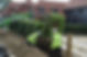 Shrubs, Hedges and Topiary planting services2.jpg