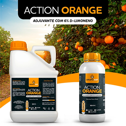 Action Orange.png