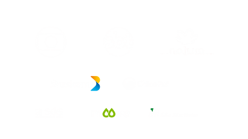 Design sem nome (14).png