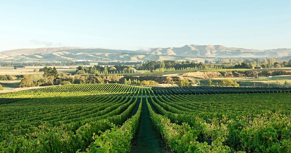 North Canterbury New Zealand