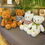 Thumbnail: Teddy Bear Plush Dolls Baby Cute Animal Dolls Soft Cotton Stuffed Home Soft