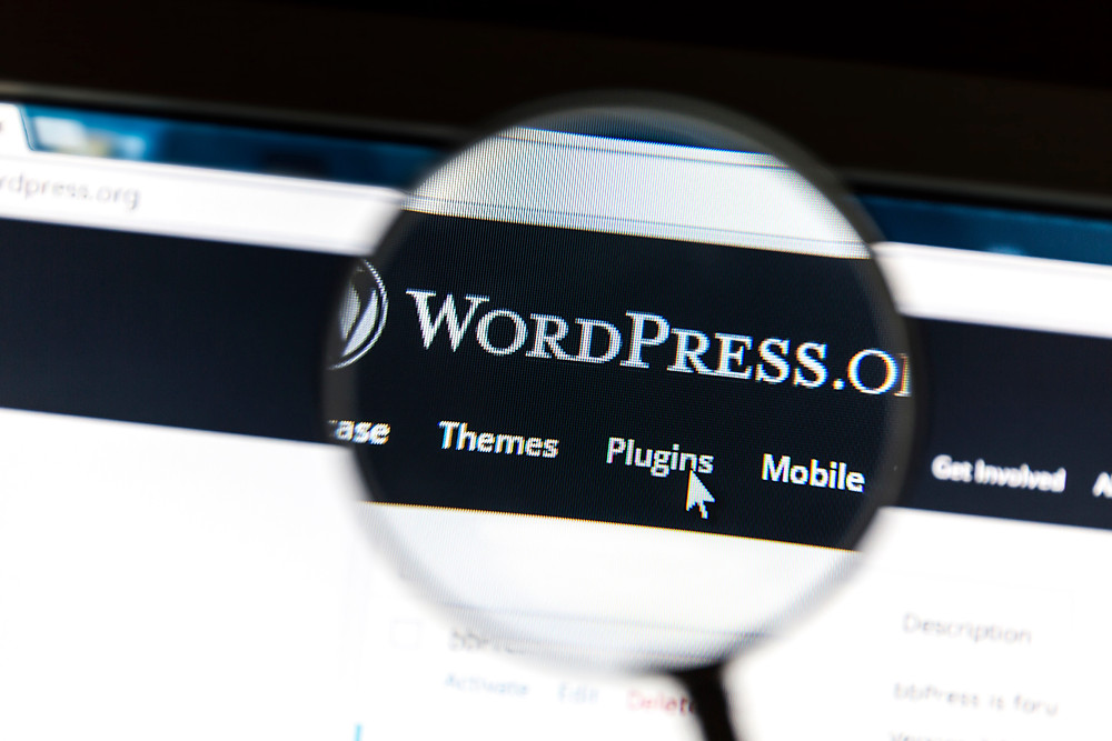 WordPress ist eines der bekanntesten Content-Management-Systeme (CMS) und steht im Ruf, besonders günstig zu sein. Das muss jedoch nicht so sein.
