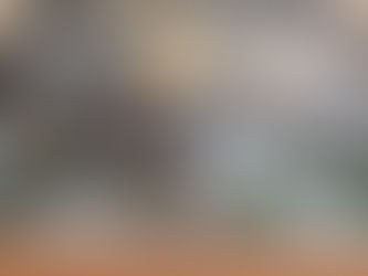 VISITE DU 1er OCTOBRE AU CVE