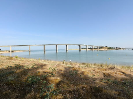 Vendée - 22 juin