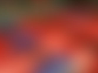 Tournoi de tennis de table à Lys