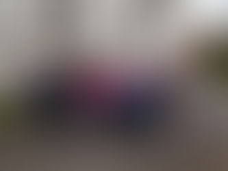 Marche Bouvines du 14 novembre