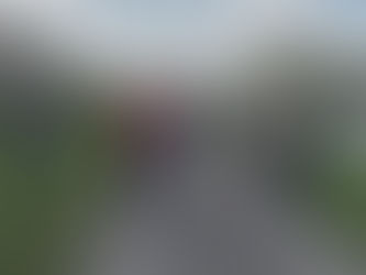 Marches à Wervick sud