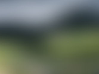 Voyage en Pologne (8)