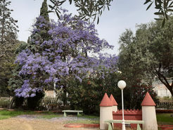 Saint Jean Cap Ferrat (2)