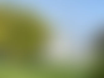 Marche 6 et 10 Km du 3 octobre