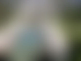 Saint Jean Cap Ferrat (5)