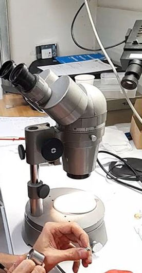 binoculaire pour l'analyse des inclusions visibles
