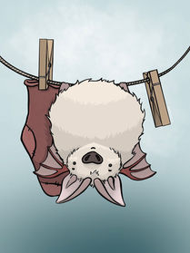 091 Nietoperz Batilda_mały.jpg