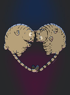 142 Koty Alina i Bimber