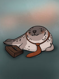 066 Foka Steve_mały.jpg