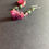 Miniature : Boucles d'oreilles Tourmaline et Séraphinite