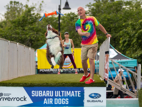 Rockin' on the River