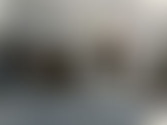 VCU Health System CEO search underway