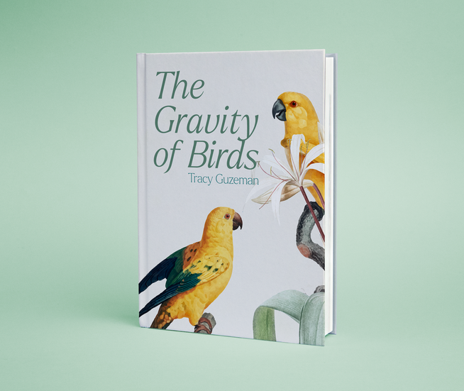 book cover design